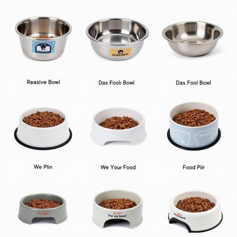 Choosing the Right Dog Food Bowl