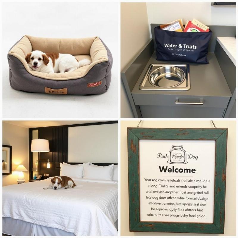 Dog-friendly amenities at a Coronado Island hotel