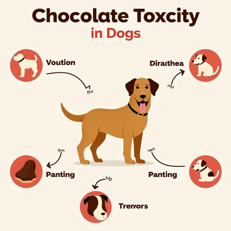 Signs of chocolate poisoning in dogs