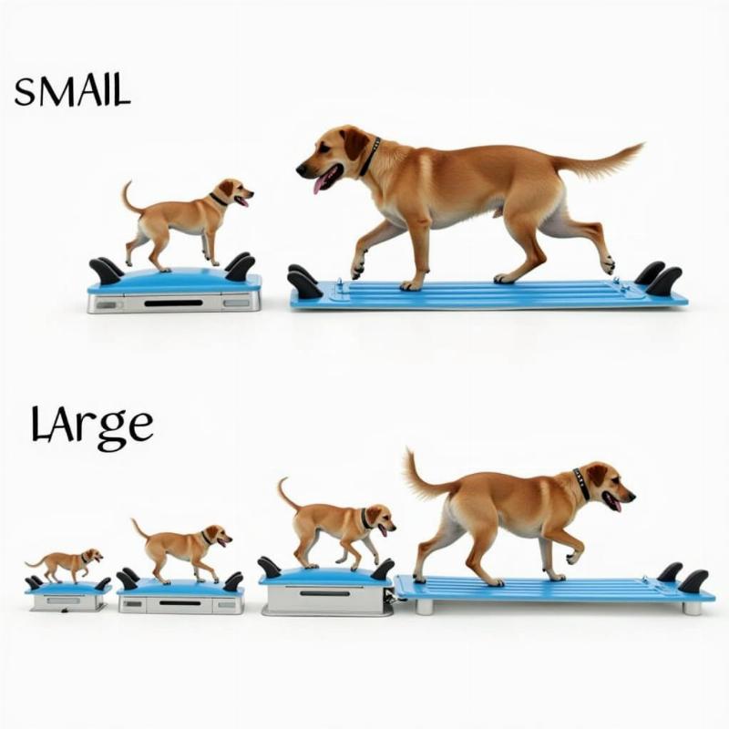 Different Sizes of Dog Water Treadmills