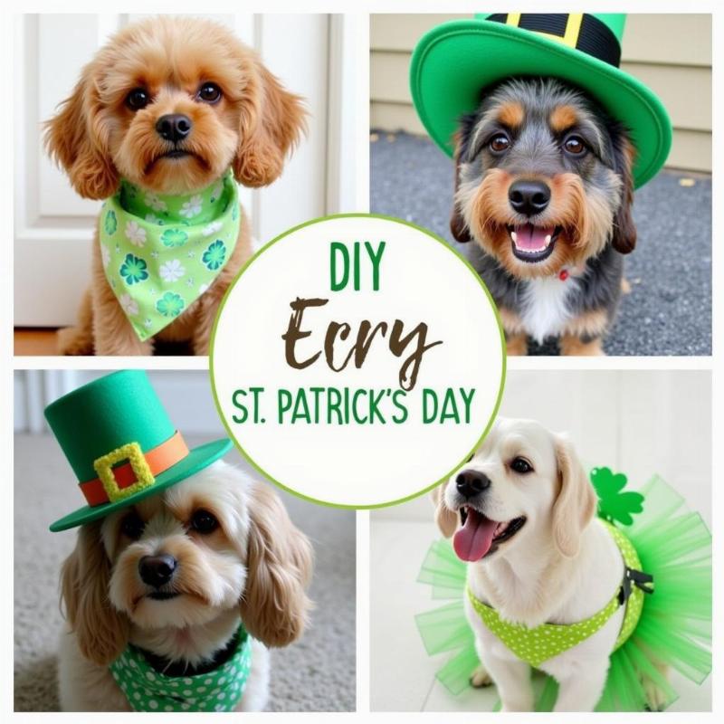 DIY St. Patrick's Day Dog Costume Ideas