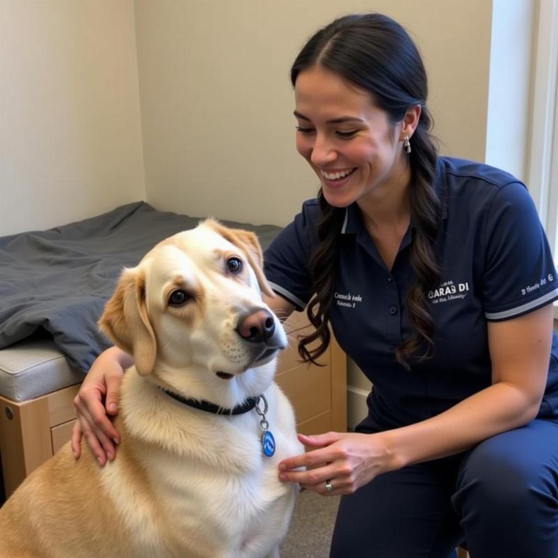 Dog boarding facility staff comforting anxious dog