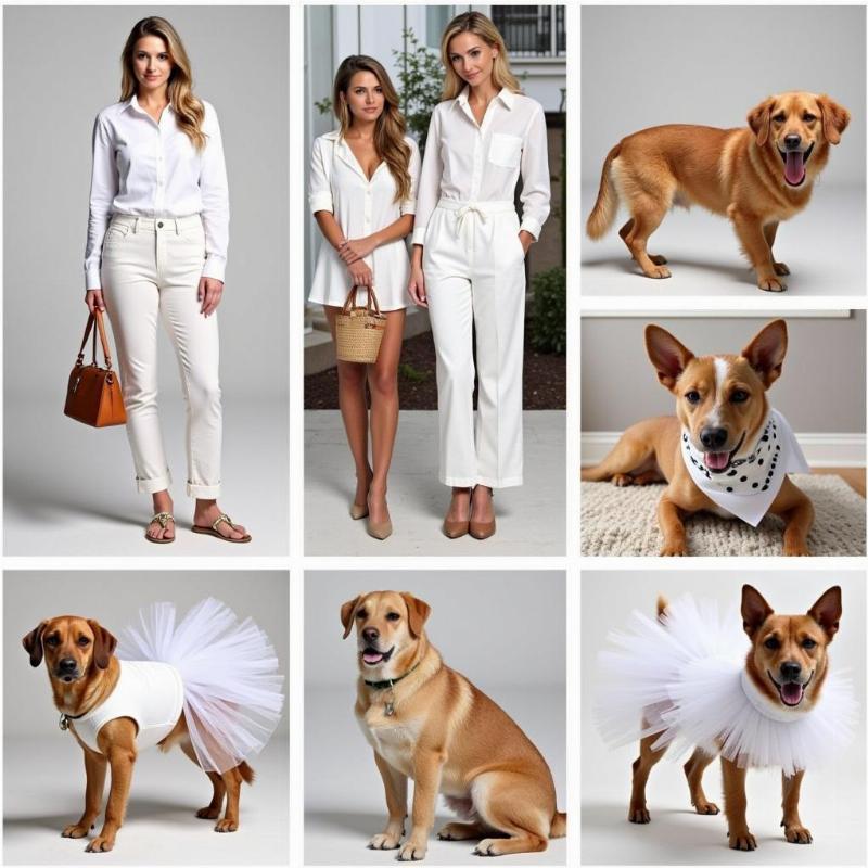 Stylish dogs and owners in white attire.