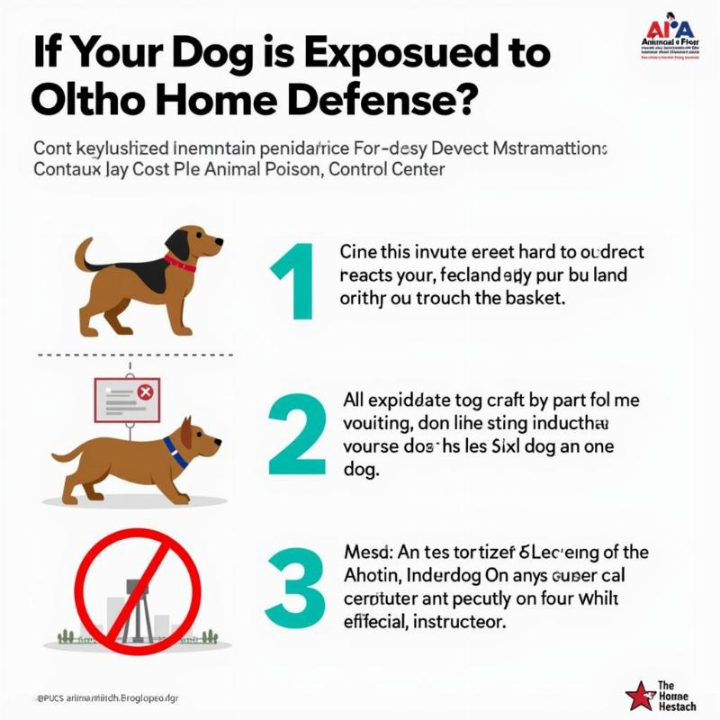 What to Do if Your Dog is Exposed to Ortho Home Defense