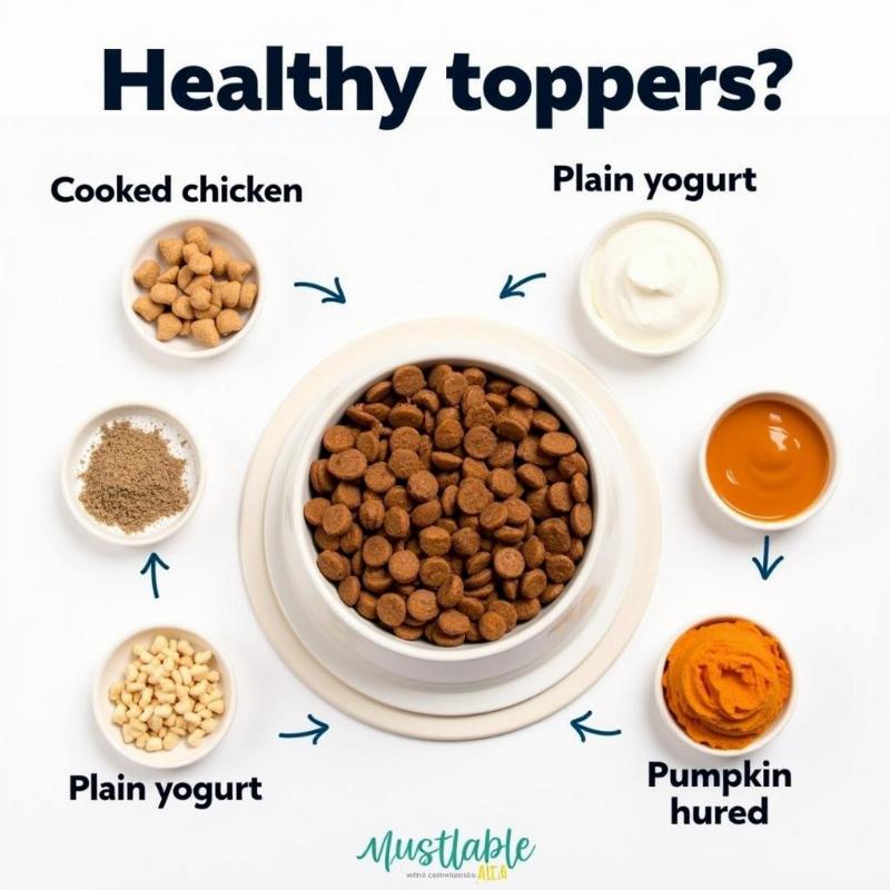 Dog food toppers: healthy options