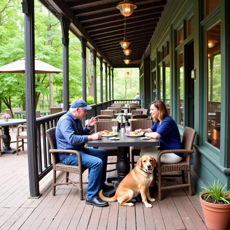 Dog-Friendly Patio in Black Mountain