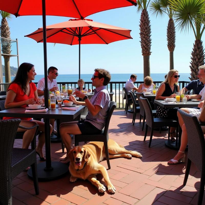 Dog-friendly patio at a restaurant in Treasure Island