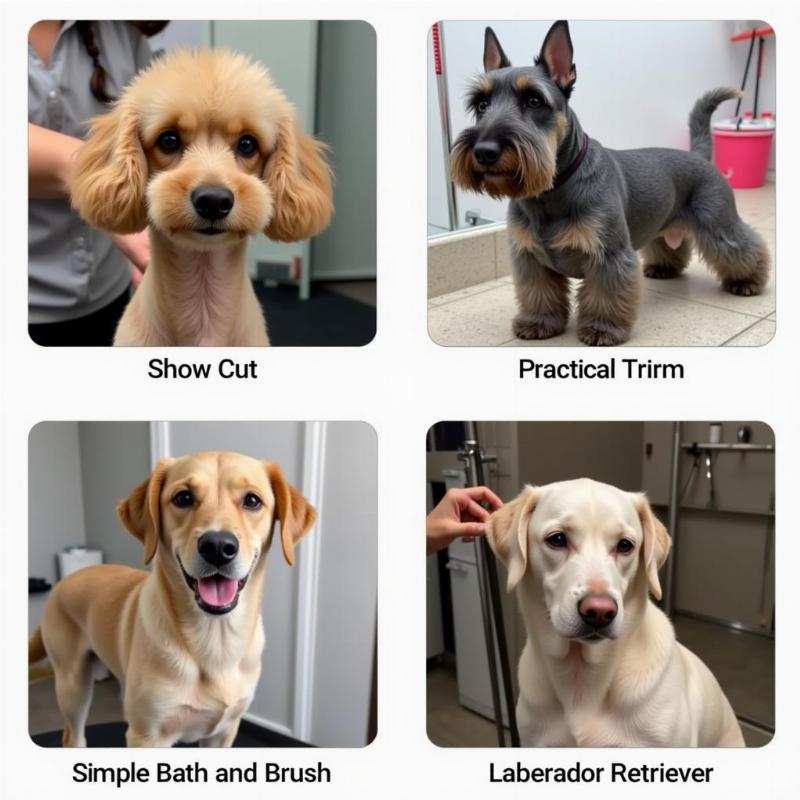 Dog Grooming Holly Springs NC: Grooming Styles