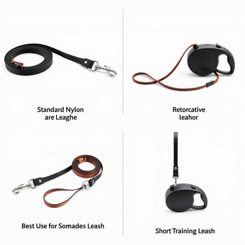 Different types of dog leashes