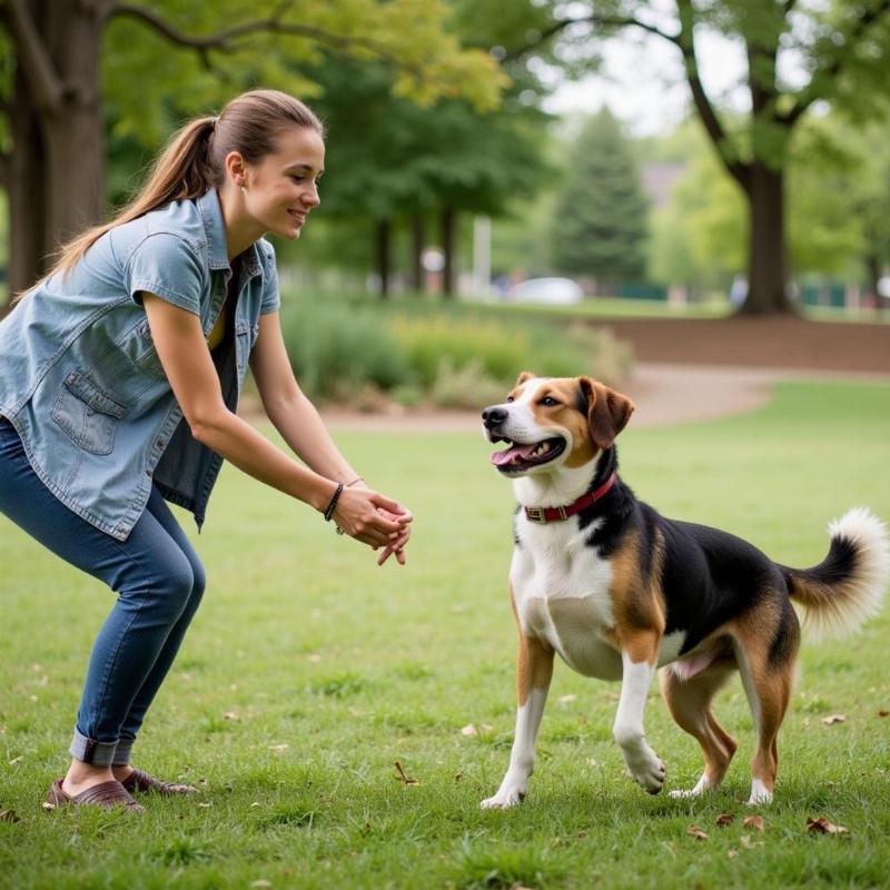 Dog Owner Training with Susan Garrett Method