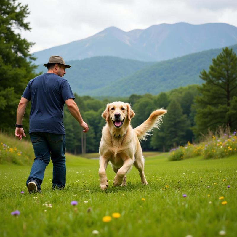 A dog playing fetch in a Brevard, NC park