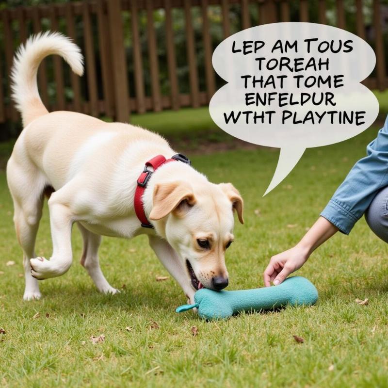 Dog Playing Safely with a Plush Toy