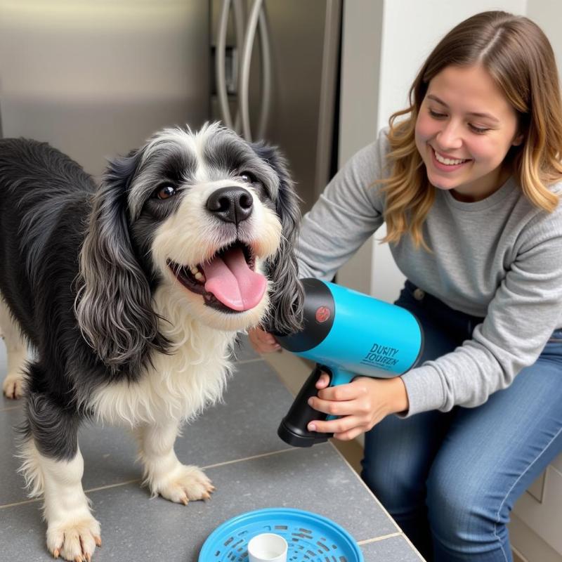 Drying a Dog After a Wash