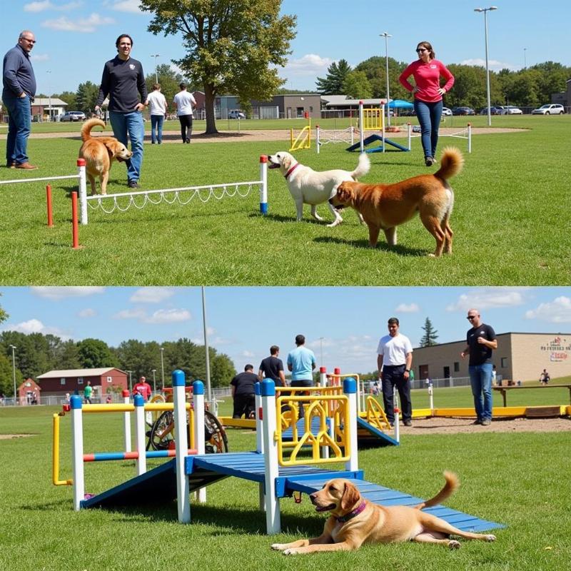 Eastwood Dog Park in El Paso