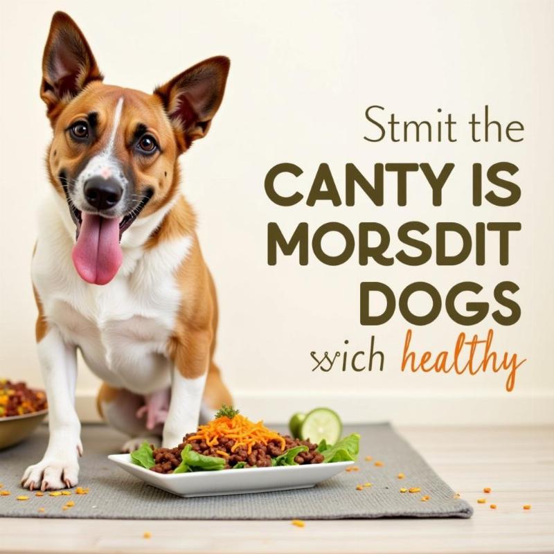 A Healthy Dog Benefitting from Balanced Diet and Exercise