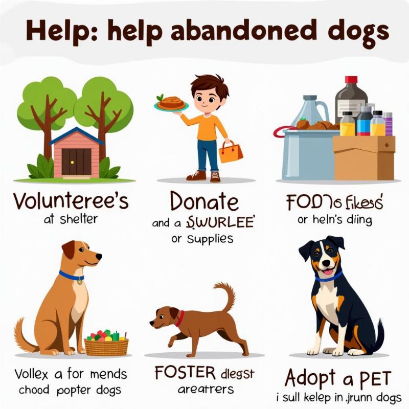 Lending a Paw: Ways to Help Abandoned Dogs in Florida