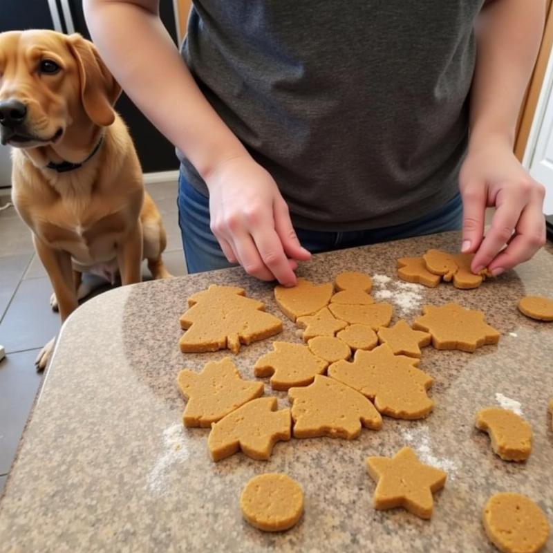 Homemade Dog Treats for Weight Loss