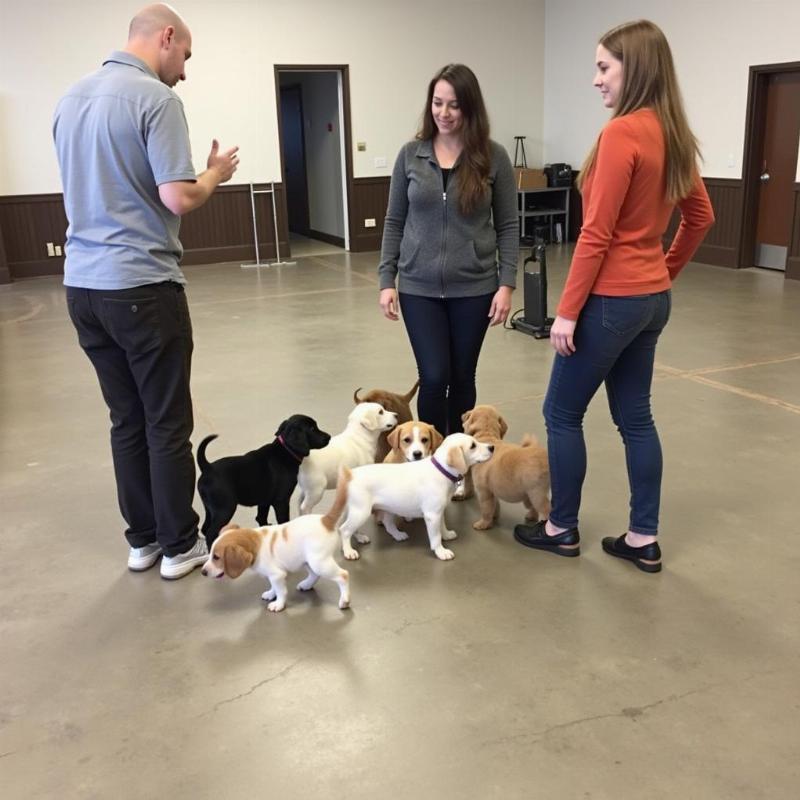 Puppy Training Class in Williamsburg, VA