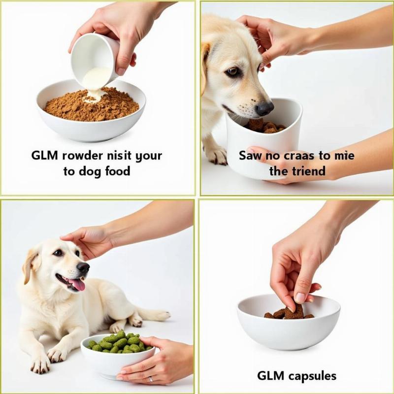 Incorporating GLM into Dog Diet