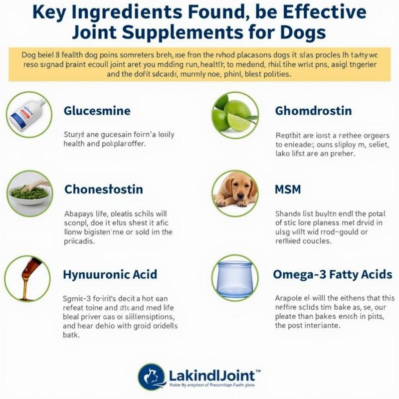 Key Ingredients in Liquid Joint Supplements