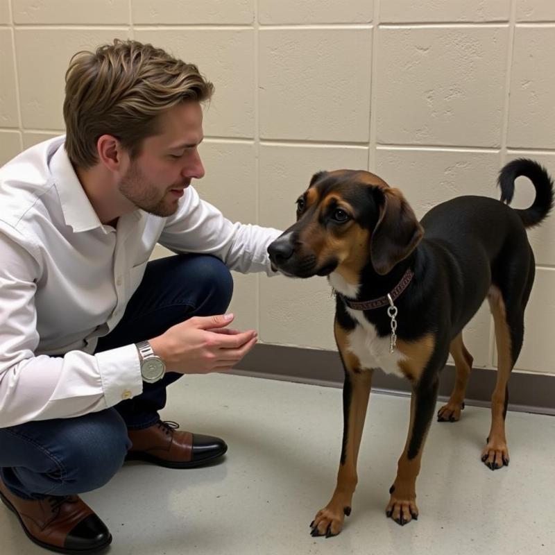 Meeting a Dog at the Shelter