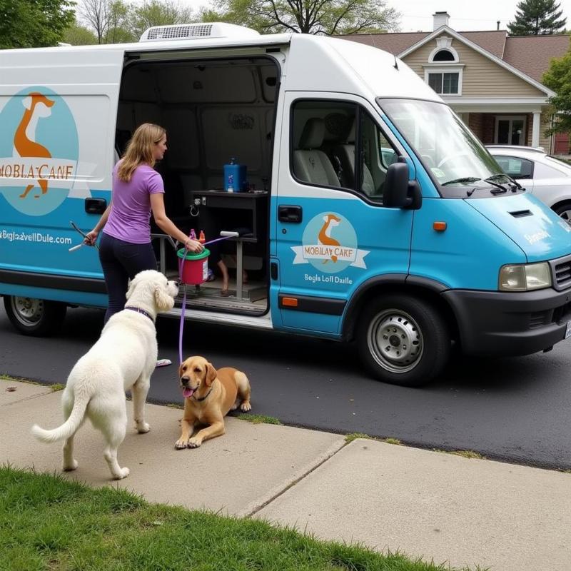 Mobile Dog Grooming in Harrisburg, PA