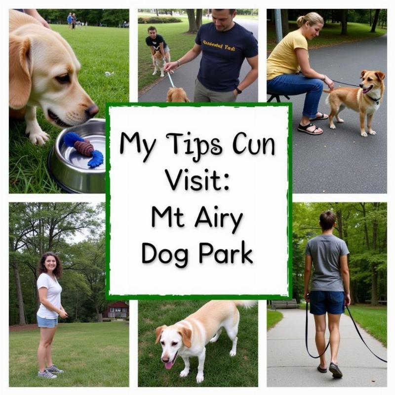 Tips for Visiting Mt Airy Dog Park: Bring water, toys, and treats. Monitor your dog's behavior and leash them when necessary.