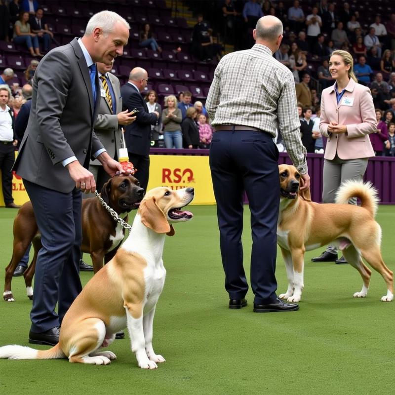 National Dog Show Behind the Scenes