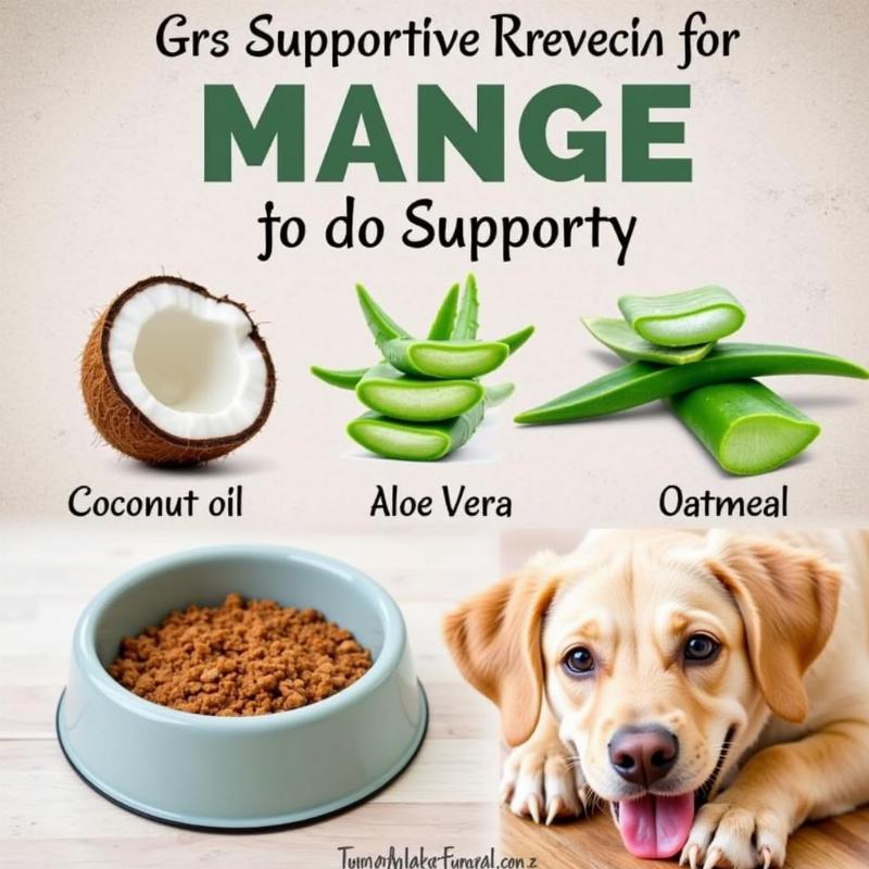 Natural Remedies for Dog Mange