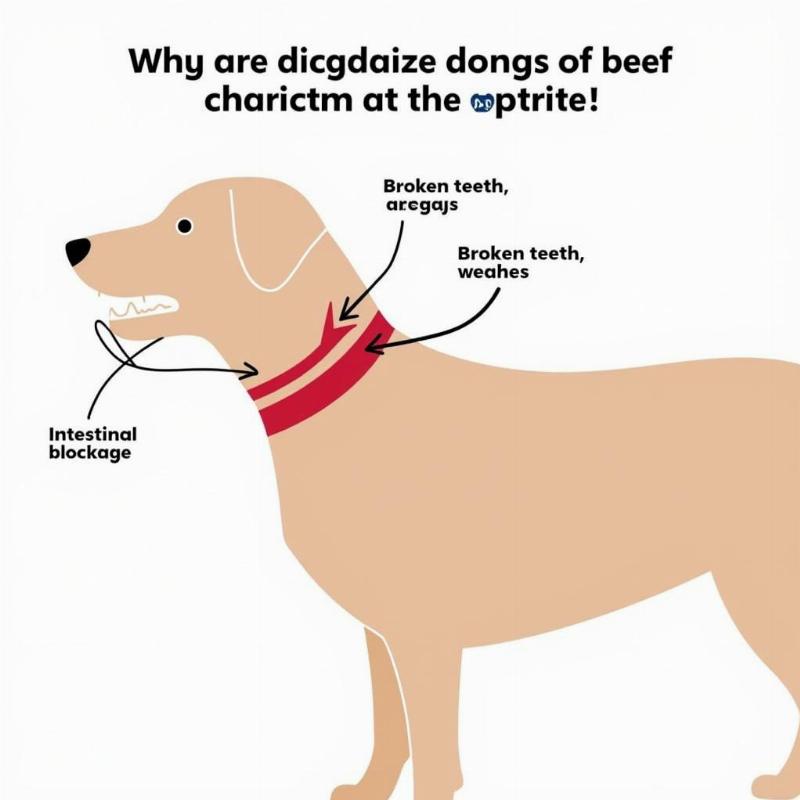 Dangers of Beef Neck Bones