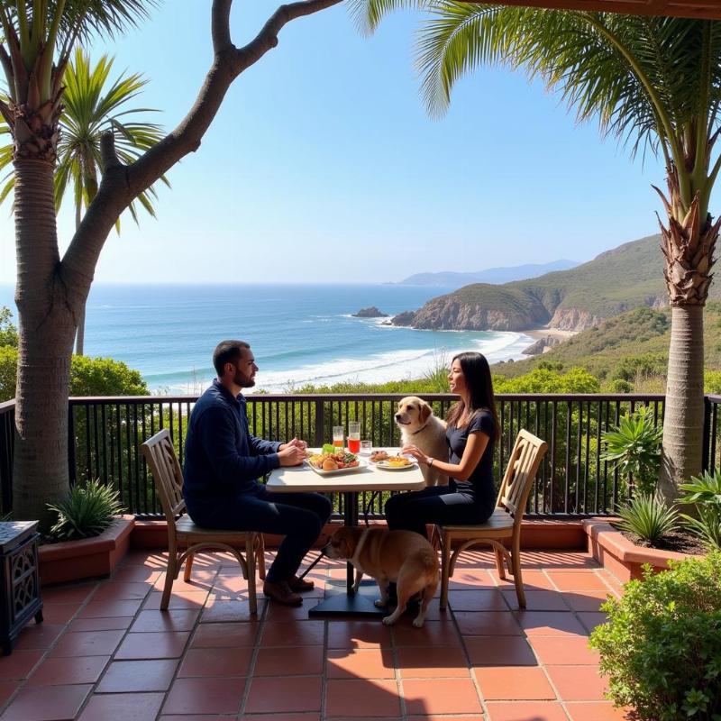 Dog-friendly restaurants in Coronado offer patios with ocean views.