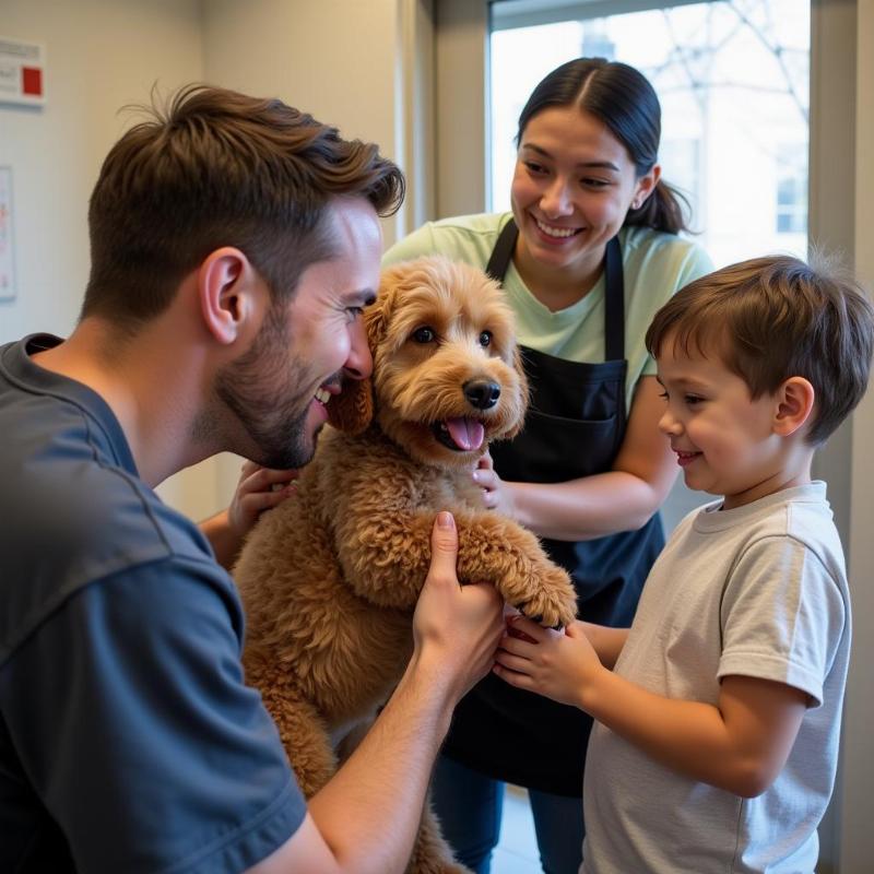 Adopting a Poodle in Houston