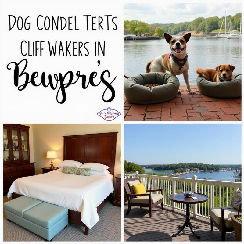 Dog-friendly hotels in Newport, RI