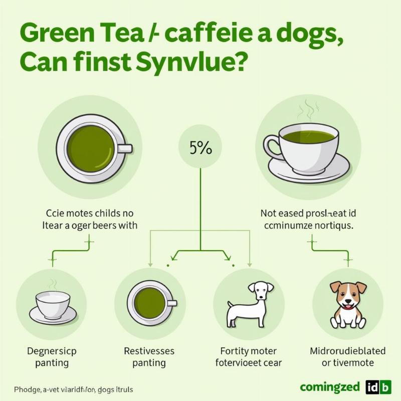 Potential risks of green tea for dogs