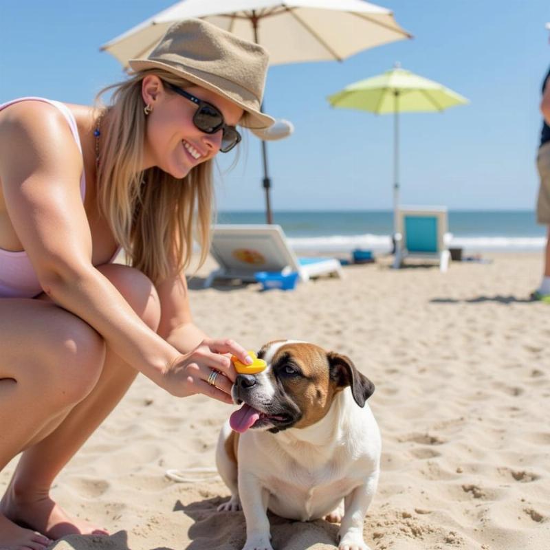 Dog Safety on the Outer Banks Beaches