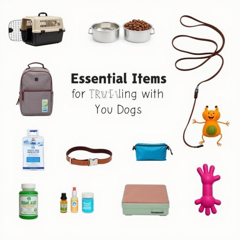 Packing Essentials for Dog Travel