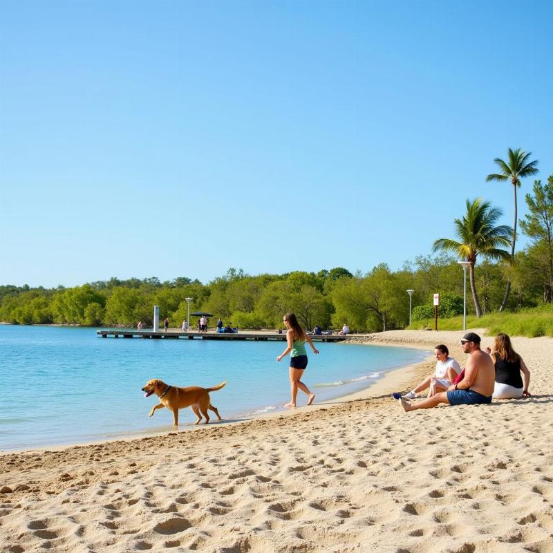 Palma Sola Causeway Park Dog Friendly Area