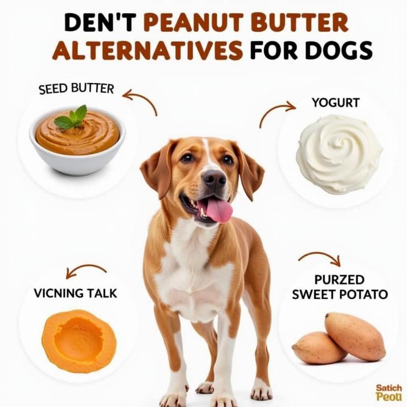 Peanut Butter Alternatives for Dogs