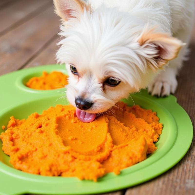 Pumpkin and Sweet Potato on a Lick Mat