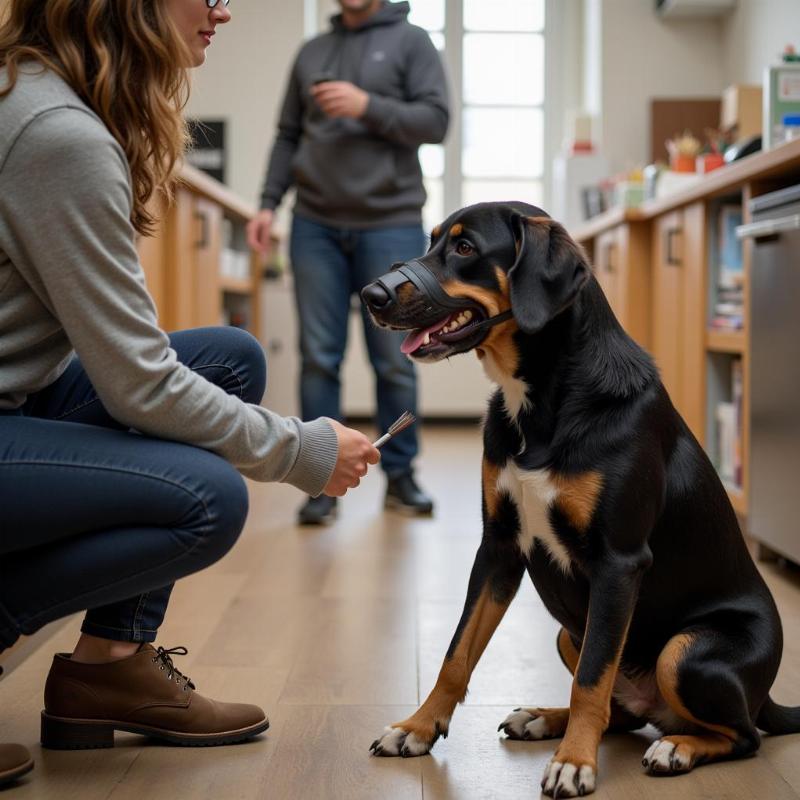 Meeting Potential Adopters