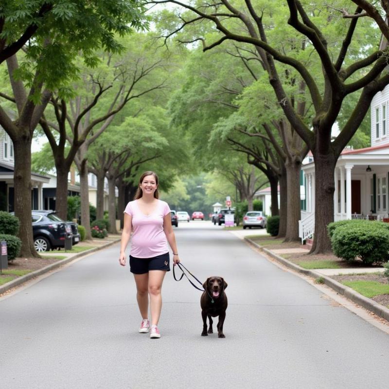 Chủ và chó đang dắt chó đi dạo trên đường phố St. Simons