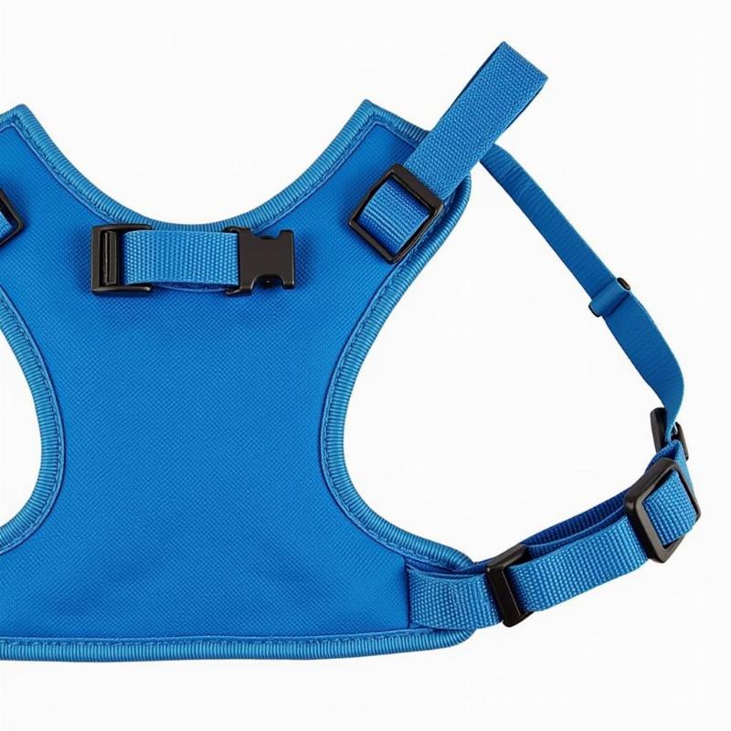 Step-in harness with adjustable straps