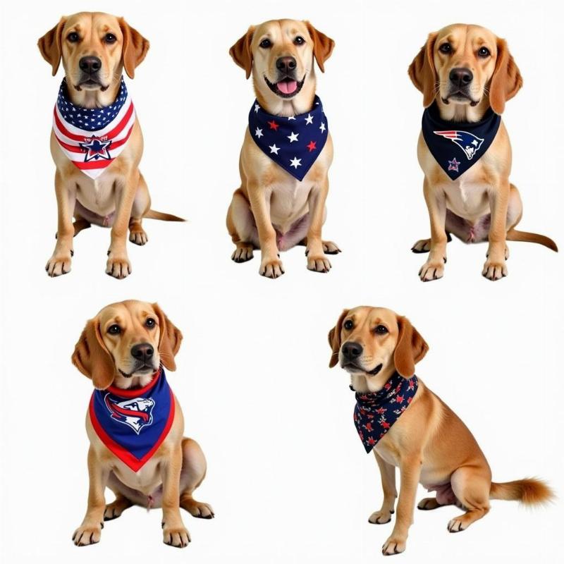 Styling your dog with over the collar bandanas