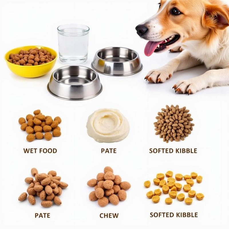 Soft Food for Toothless Dogs