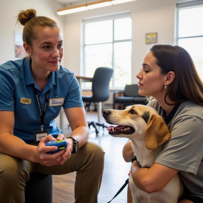 Finding a Reputable Service Dog Trainer in Maine