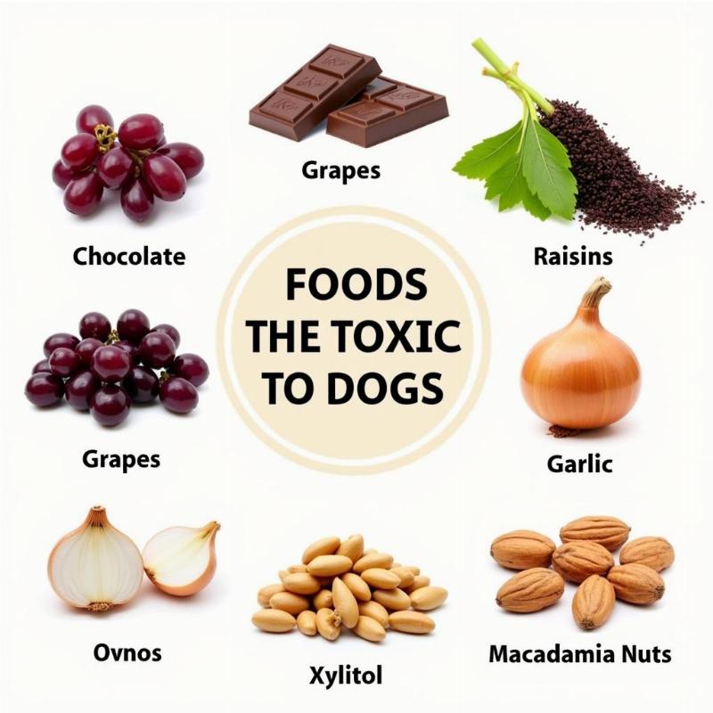 Toxic Foods for Dogs