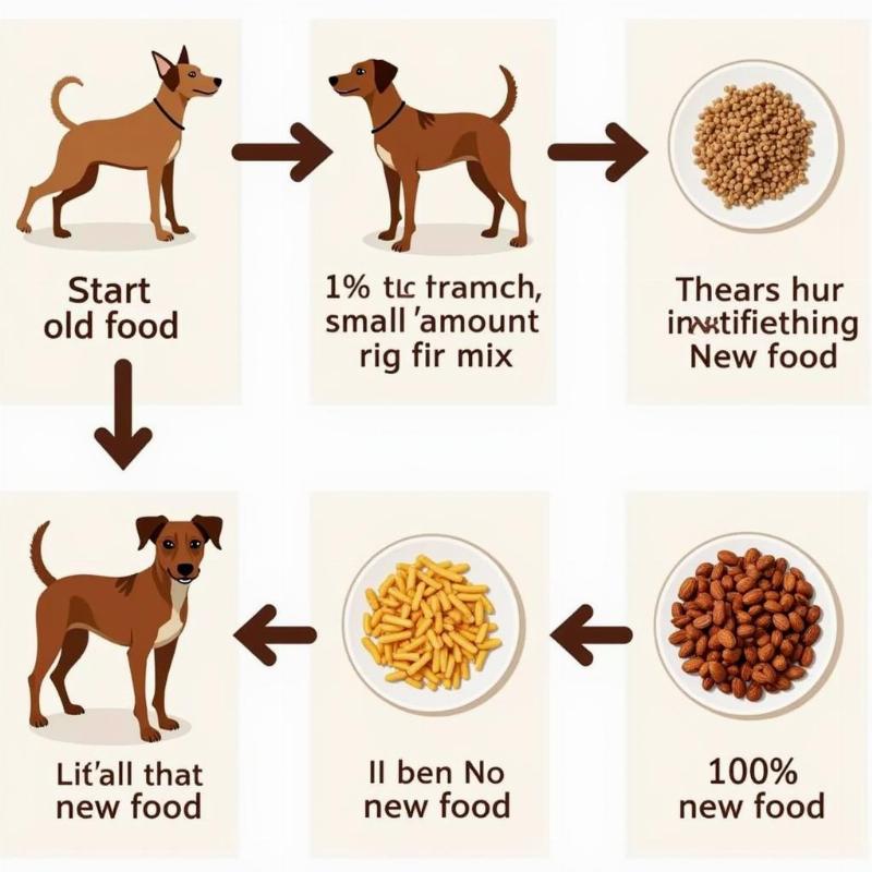 Transitioning to New Dog Food