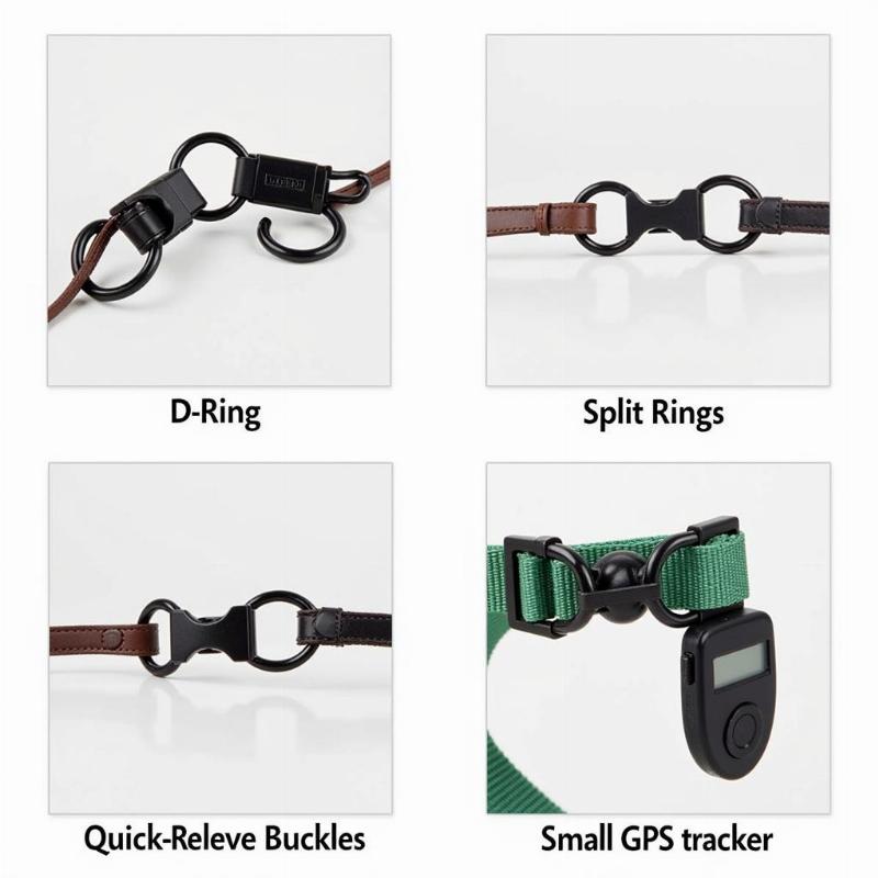 Different Types of Dog Collar Attachments