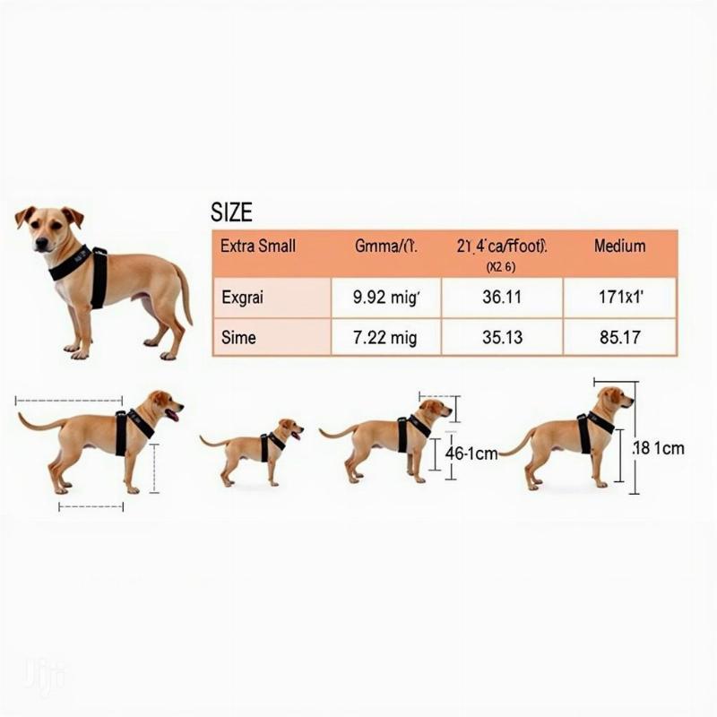 Velcro Harness Size Chart for Small Dogs