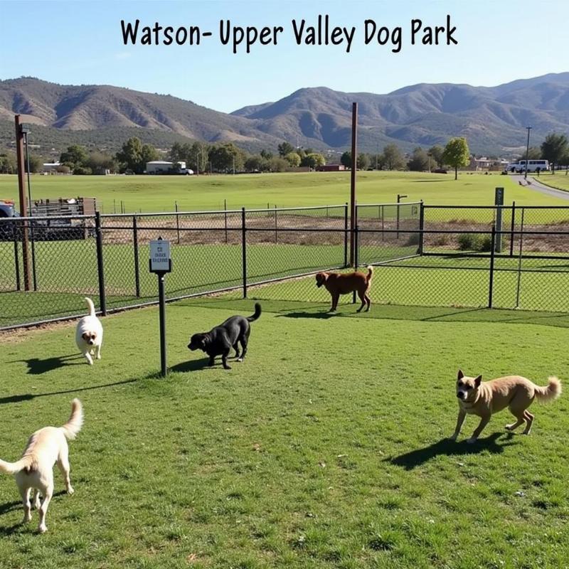 Separate areas for large and small dogs at Watson Upper Valley Dog Park